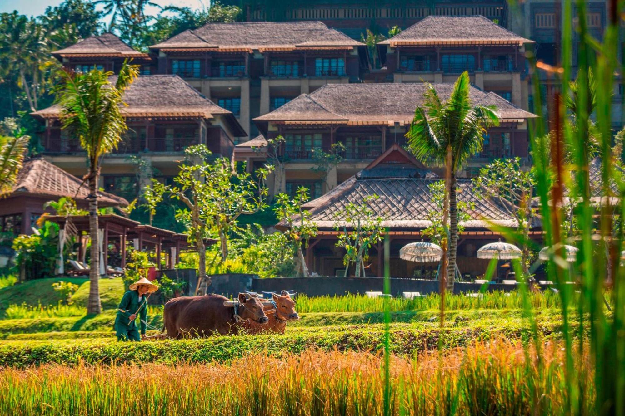 Mandapa, A Ritz-Carlton Reserve Ubud Exterior foto