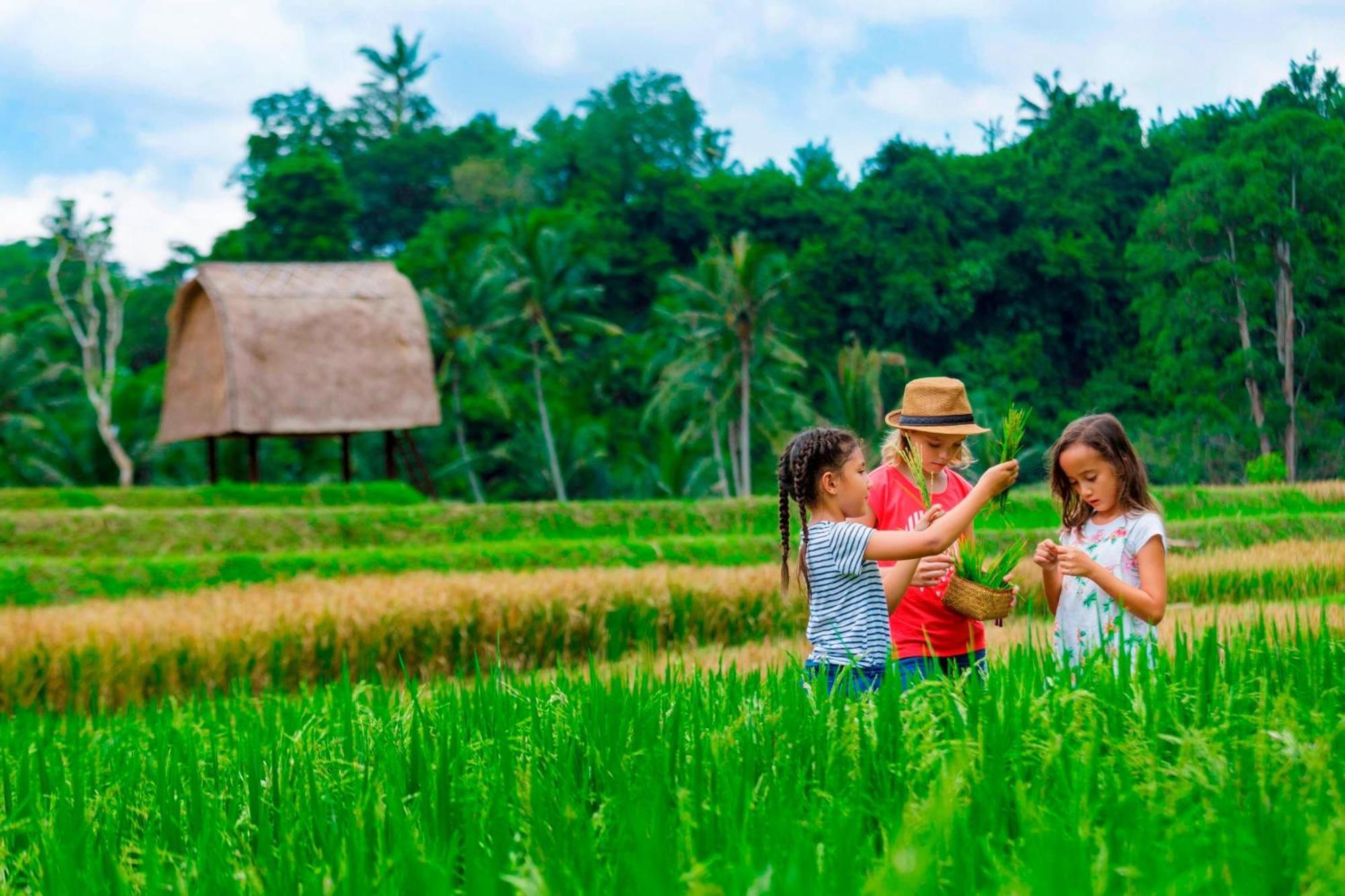 Mandapa, A Ritz-Carlton Reserve Ubud Exterior foto