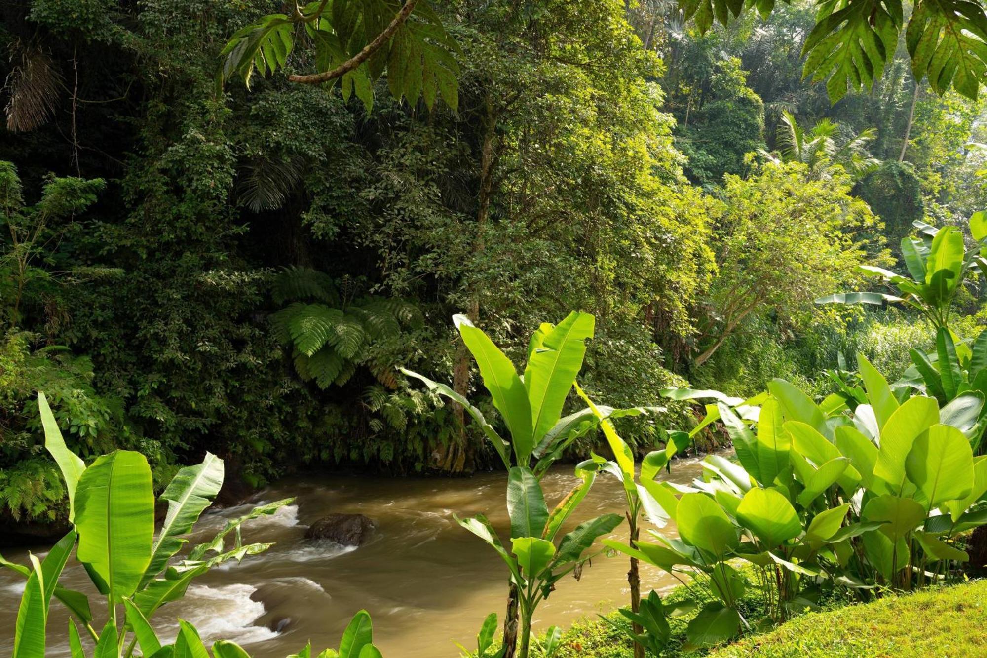 Mandapa, A Ritz-Carlton Reserve Ubud Exterior foto